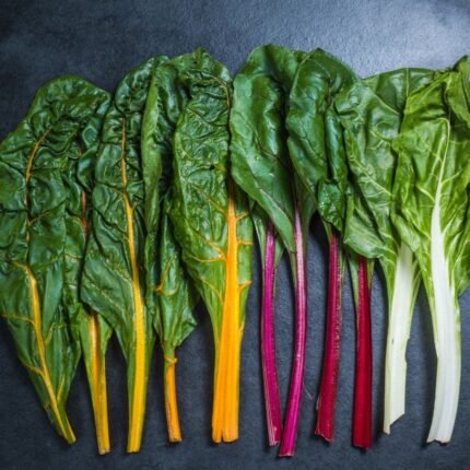 Mangold Regenbogenmix Samen