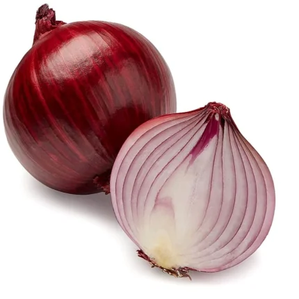 Zwiebel Red Amposta Samen