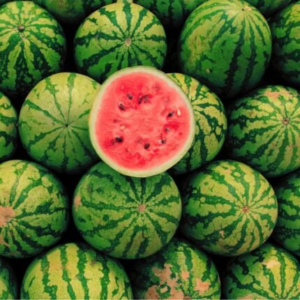 Wassermelone Sugar Baby Samen