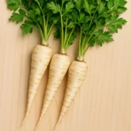 Wurzelpetersilie Samen