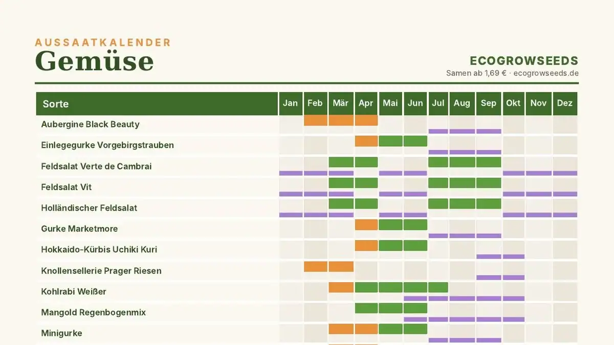 Aussaatkalender Gemüse – Tabelle mit Aussaat- und Erntezeiten von Januar bis Dezember